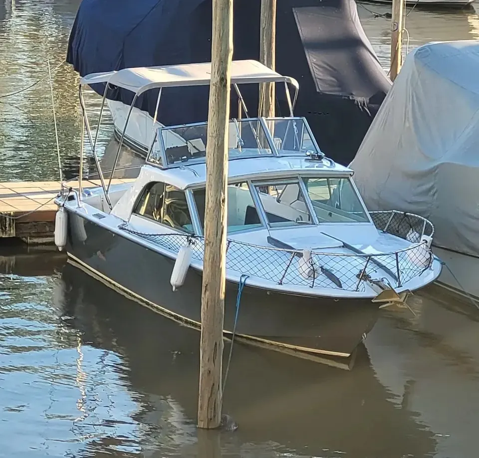 Barco Sea Bird